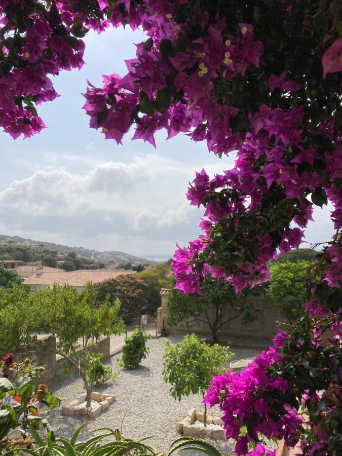 Casa Santa Giulia Hotell Propriano  Eksteriør bilde